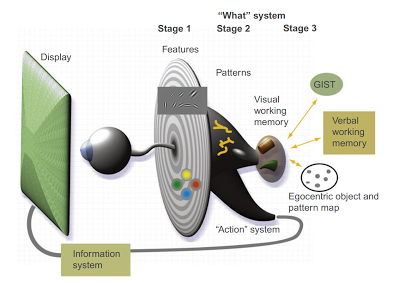 Ware’s (2013) three stage model of visual information processing, p. 20.